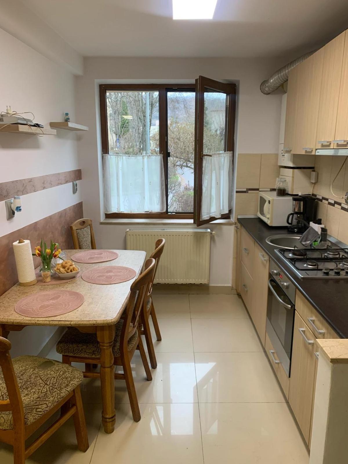 Apartament River House Kluż-Napoka Zewnętrze zdjęcie