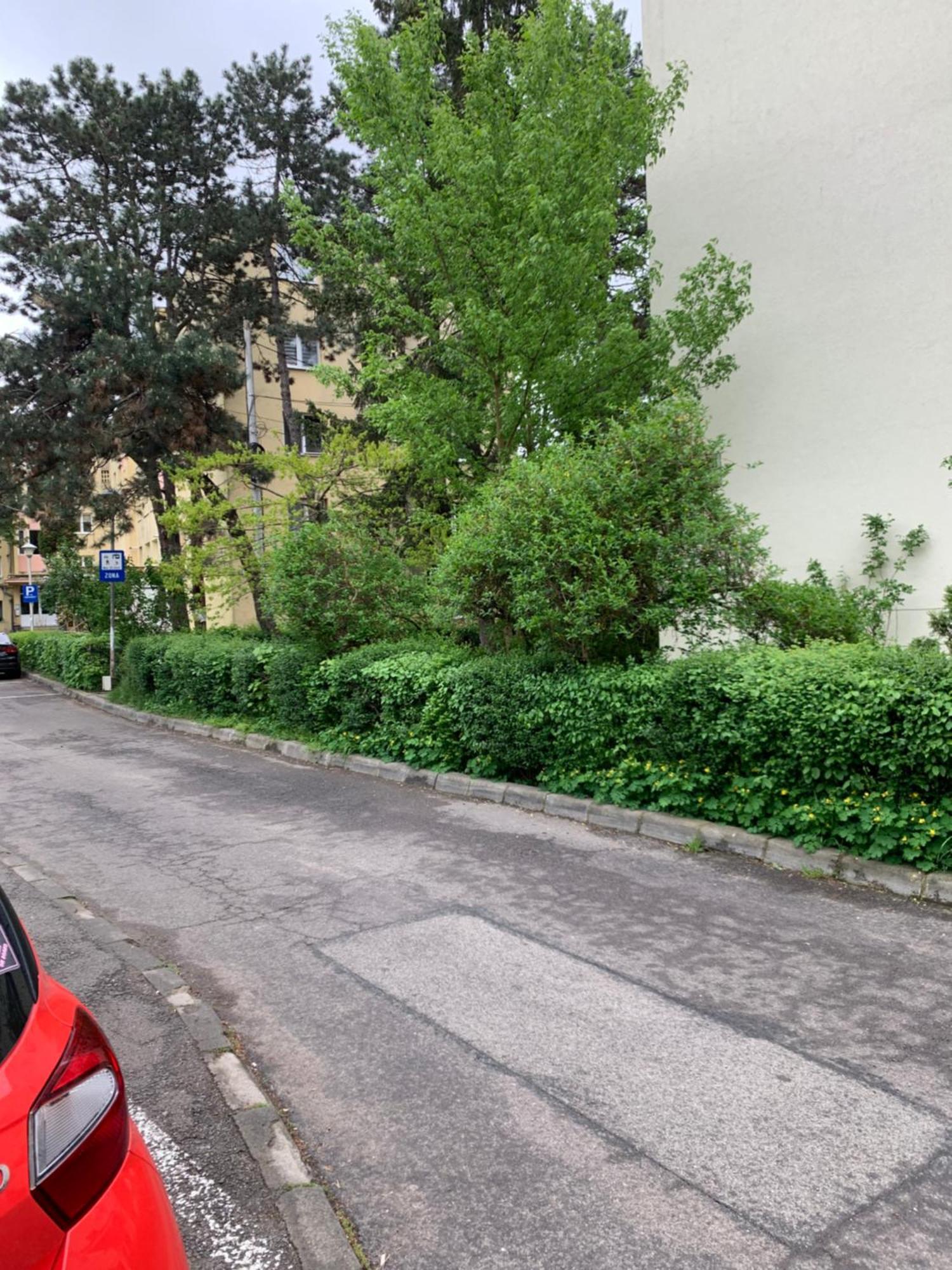 Apartament River House Kluż-Napoka Zewnętrze zdjęcie
